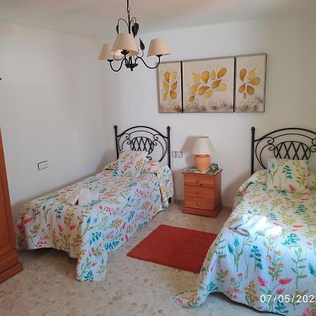 Apartament Atico Soleado Kadyks Zewnętrze zdjęcie