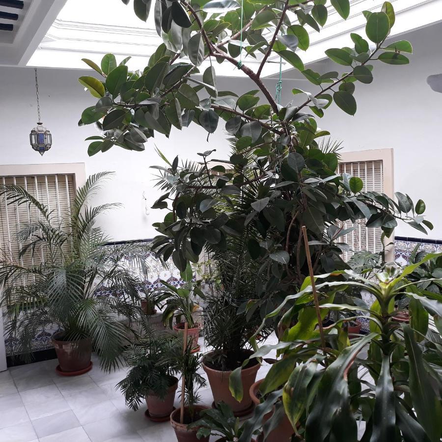 Apartament Atico Soleado Kadyks Zewnętrze zdjęcie