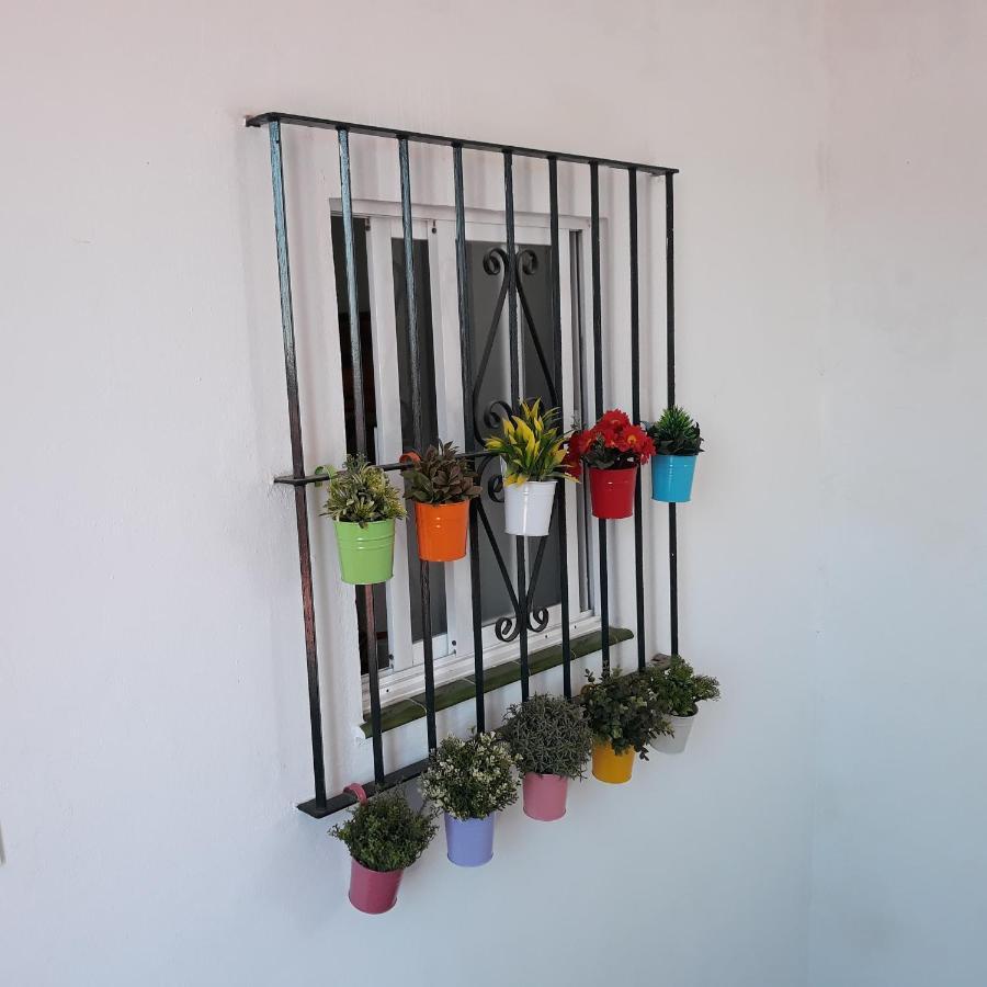 Apartament Atico Soleado Kadyks Zewnętrze zdjęcie